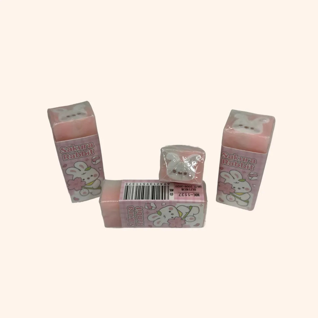 BORRACHA DIVERTIDA ESTAMPADA