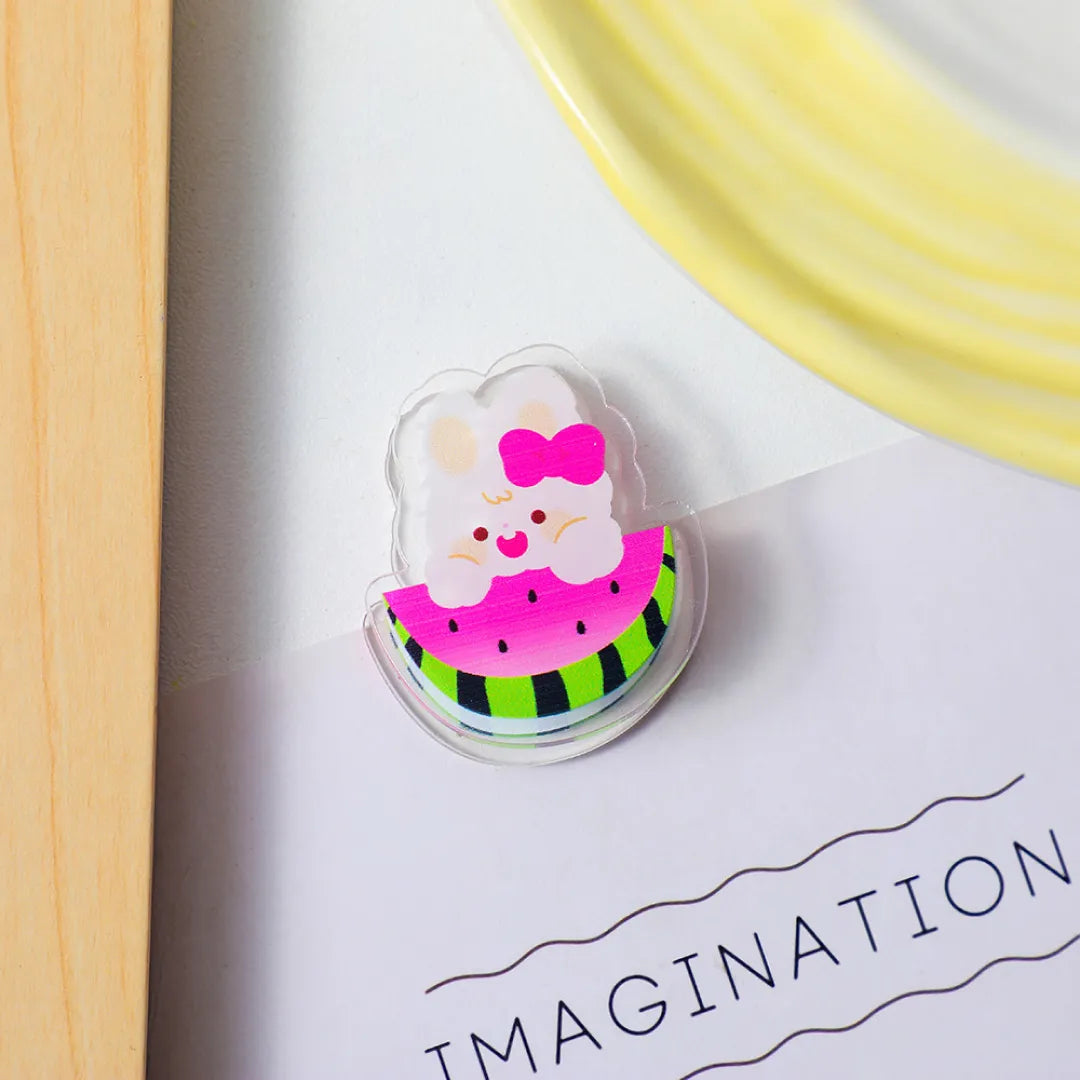 PRENDEDOR ACRILÍCO PET COLOR